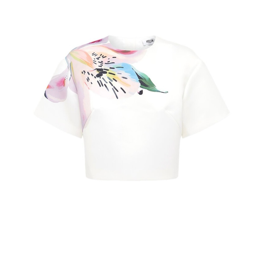 Indie Cropped Crepe T-Shirt